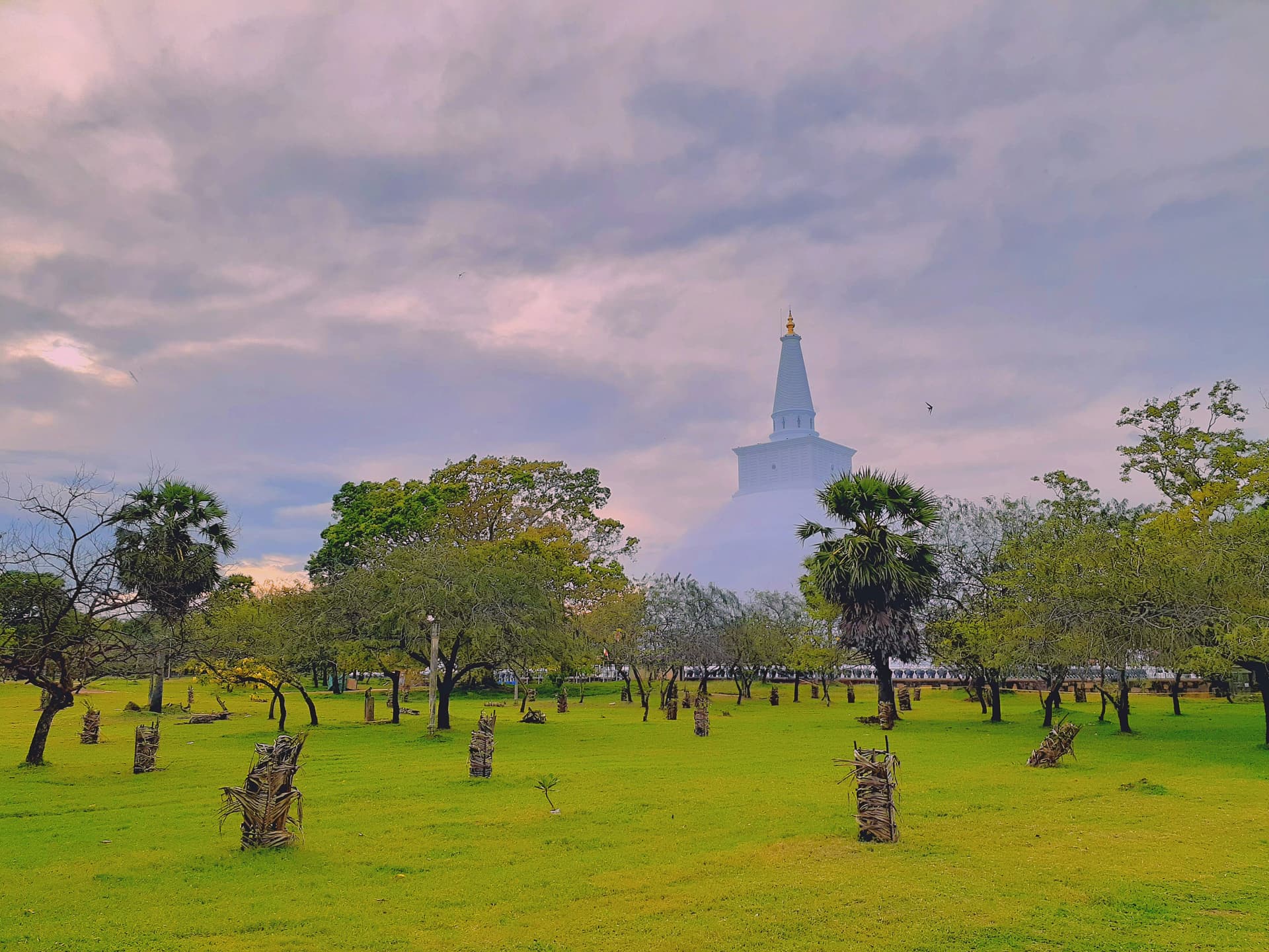 Airport to Anuradhapura